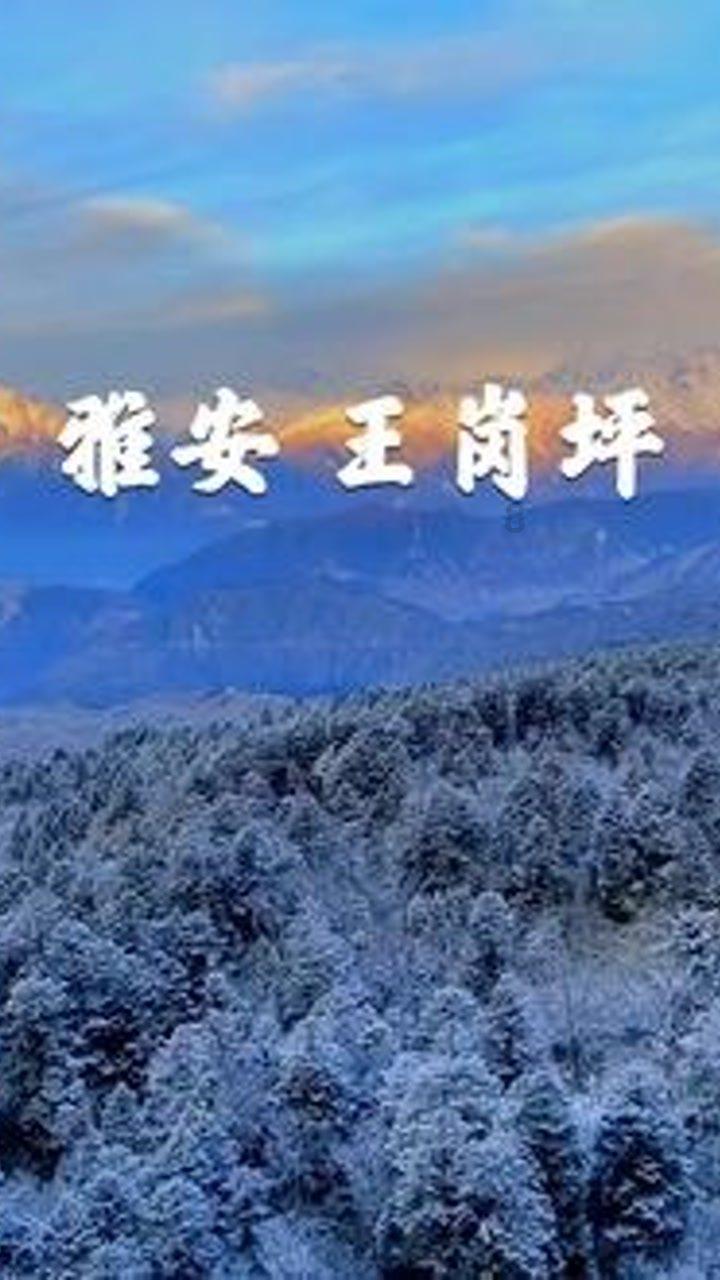英雄就是我